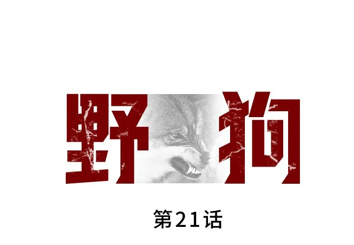 野狗 第21话