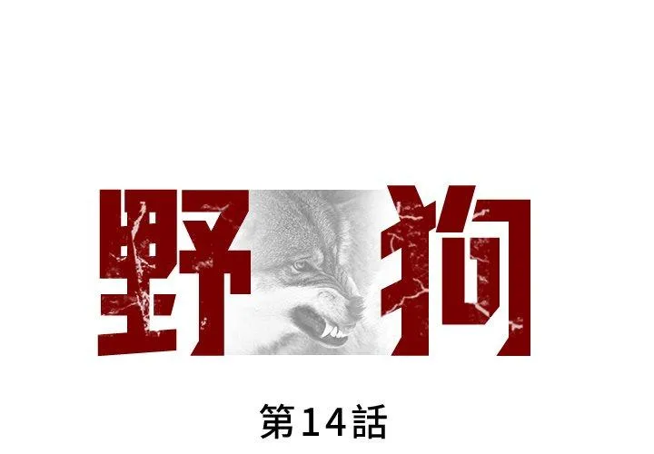 野狗 第14话