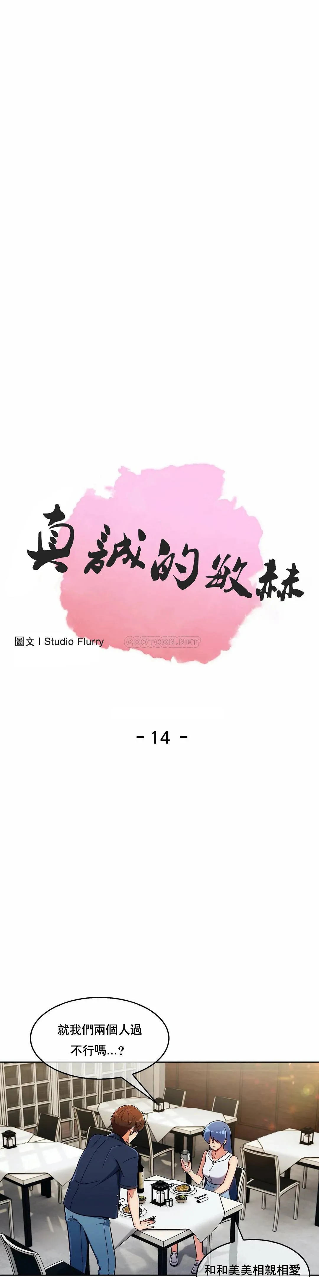 真诚的敏赫 第14话