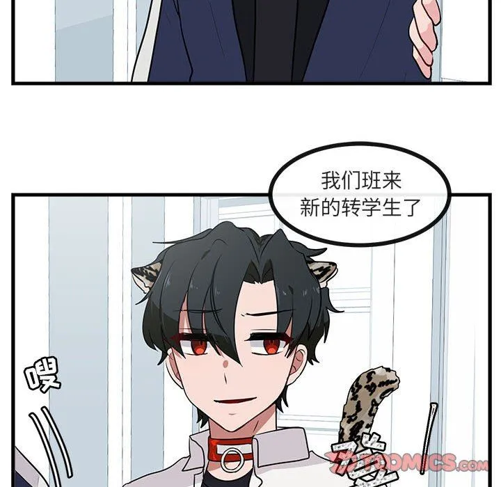 萌兽出没 萌兽出没：第41话