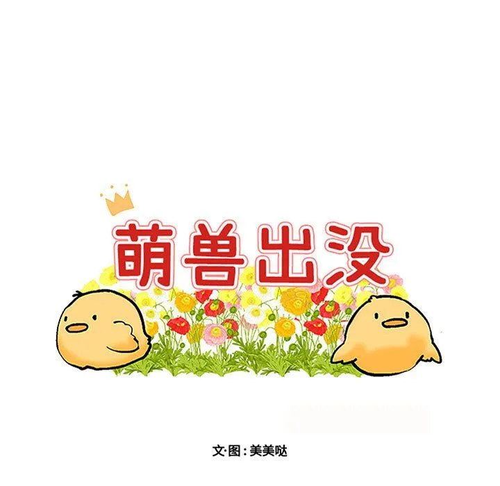 萌兽出没 萌兽出没：第41话