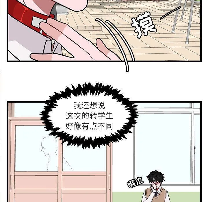 萌兽出没 萌兽出没:第12话