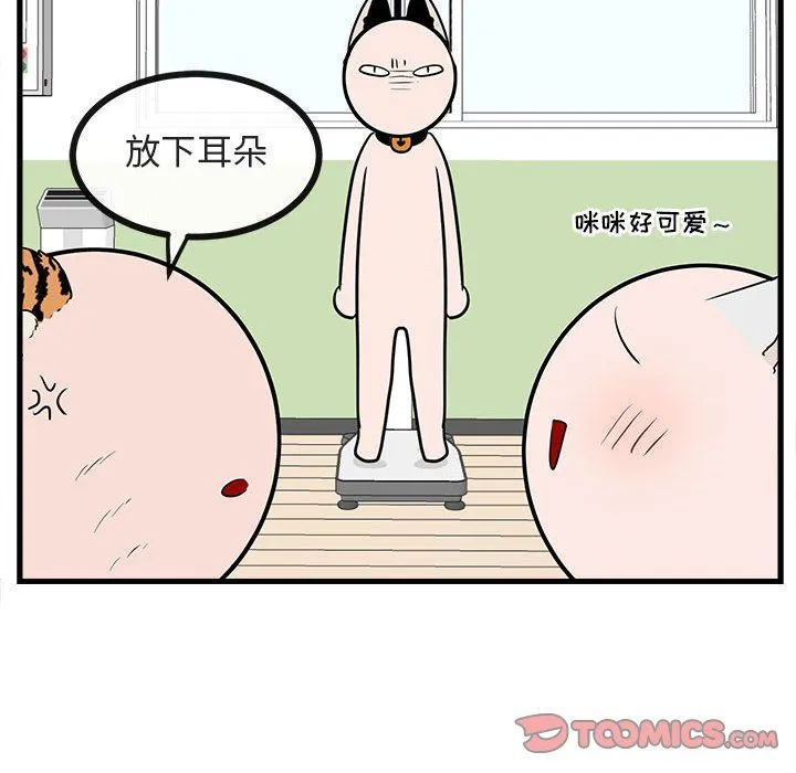 萌兽出没 萌兽出没：第41话