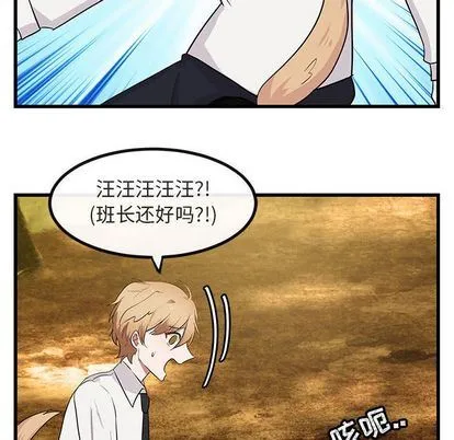 萌兽出没 萌兽出没:第14话