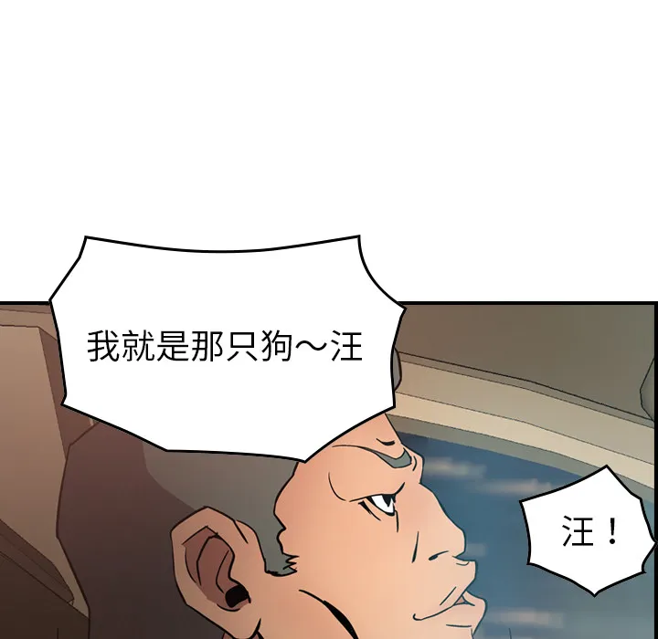 经纪人 经纪人：19