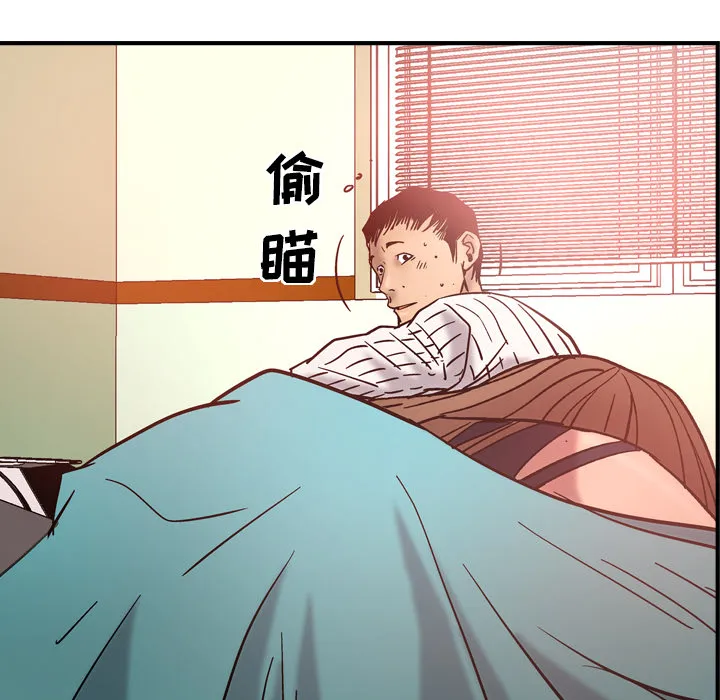 经纪人 经纪人：19