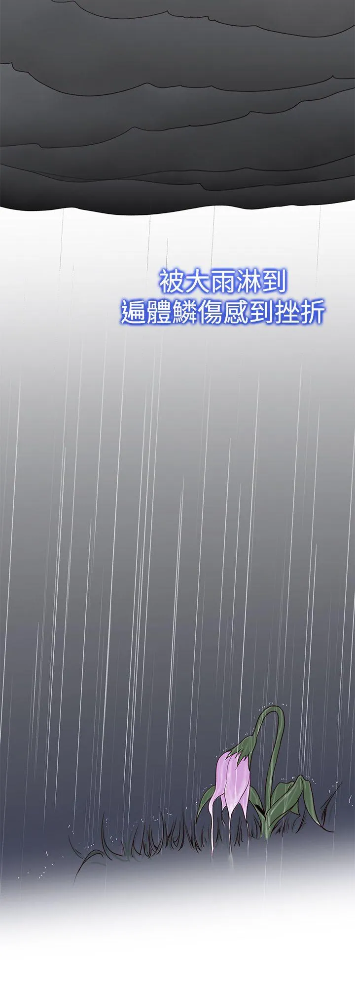 他的那里 最终话