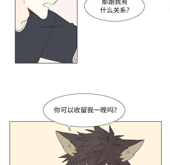 野性之城 野性之城：15