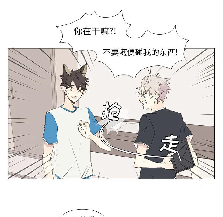 野性之城 野性之城：15