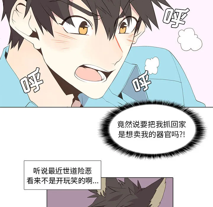 野性之城 野性之城：13
