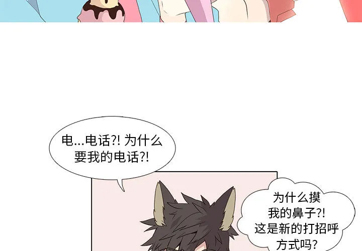野性之城 野性之城：13