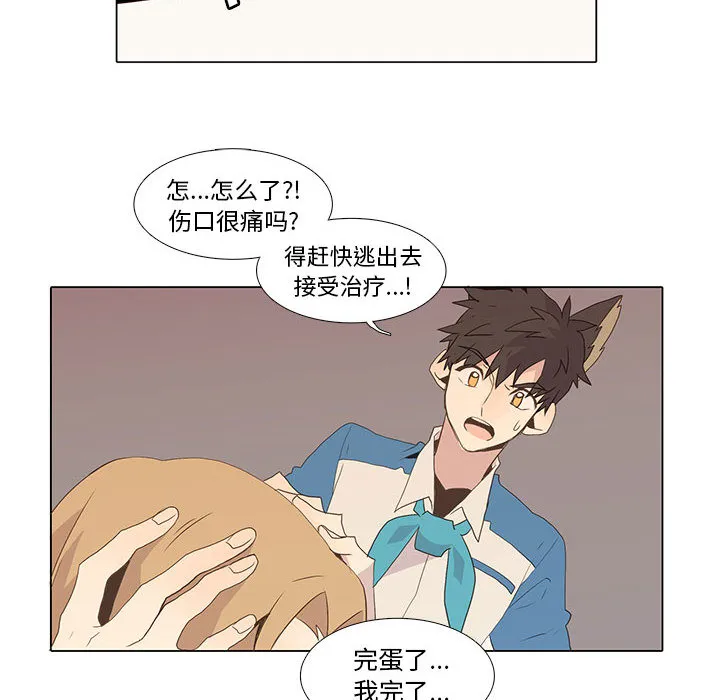 野性之城 野性之城：6