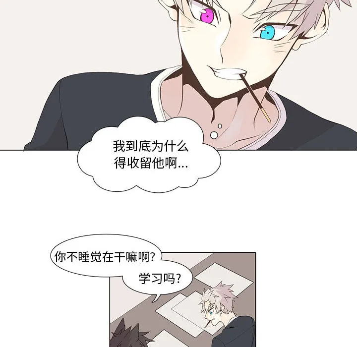 野性之城 野性之城：15