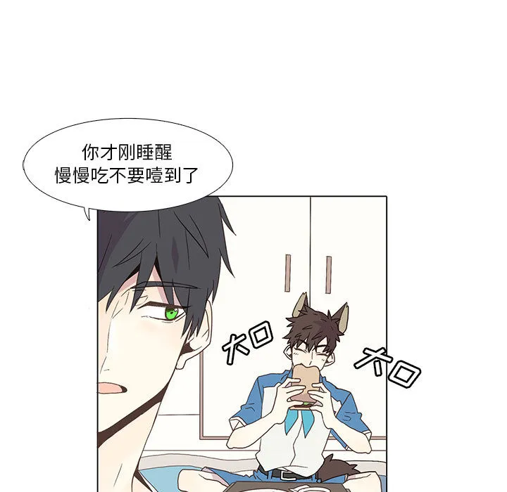 野性之城 野性之城：2