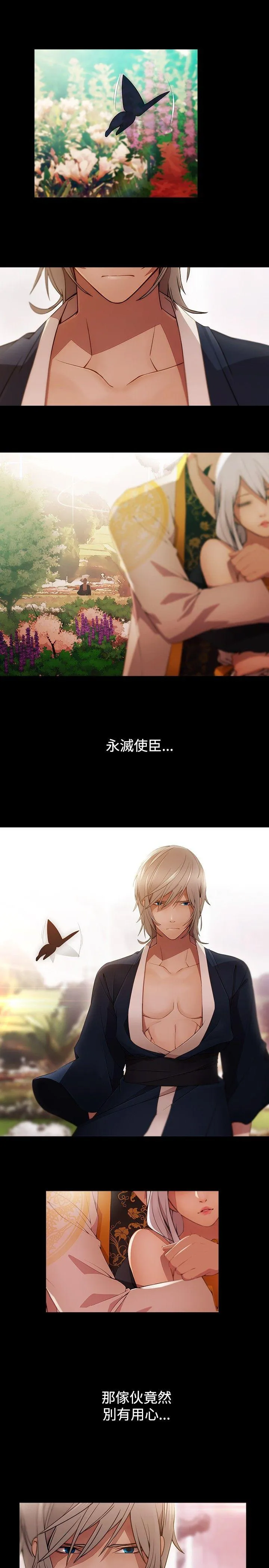 蝴蝶之梦 第19话