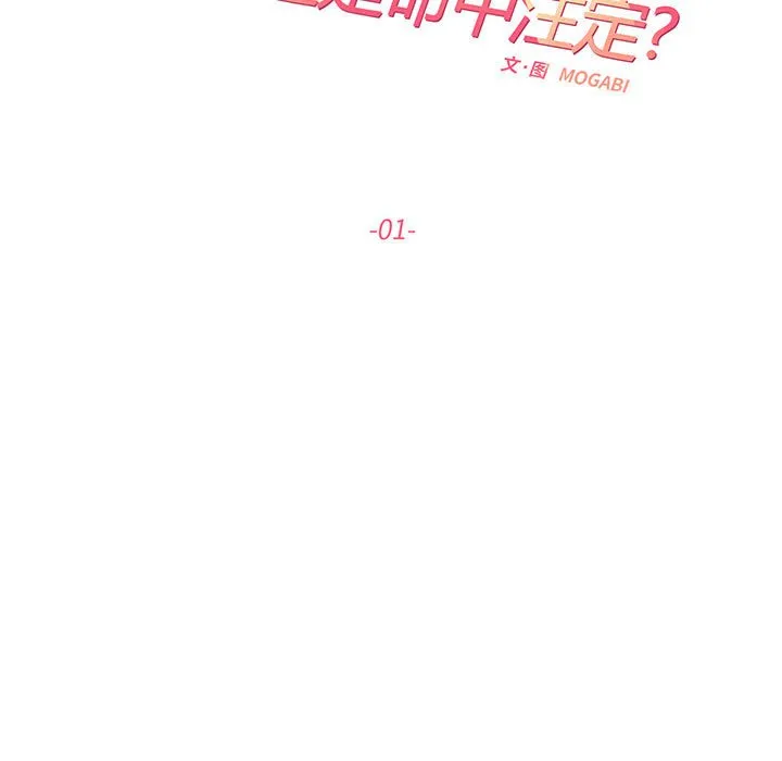 这难道是命中注定 第 1 话