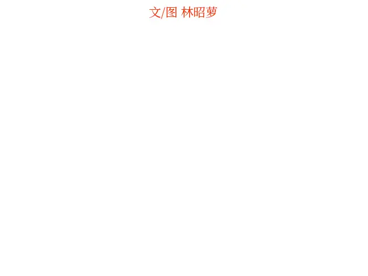 沉默的书香社 沉默的书香社：16