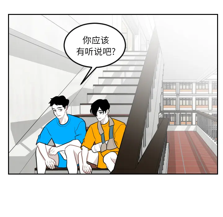 沉默的书香社 沉默的书香社：12