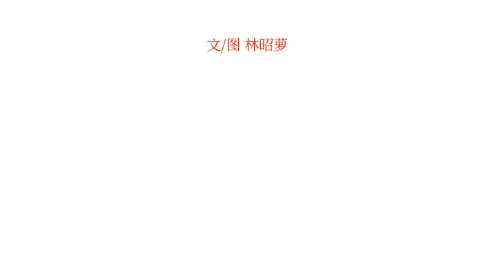 沉默的书香社 沉默的书香社：23