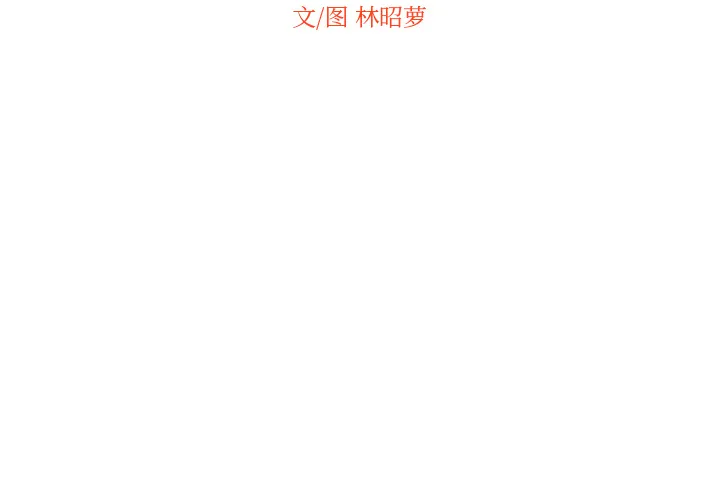 沉默的书香社 沉默的书香社：8