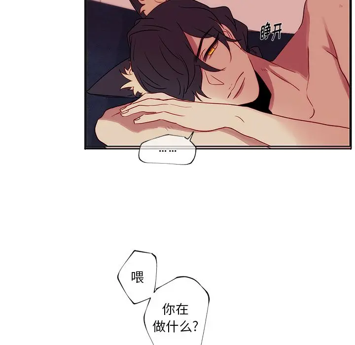 小红帽与狼少年 小红帽与狼少年：第2话