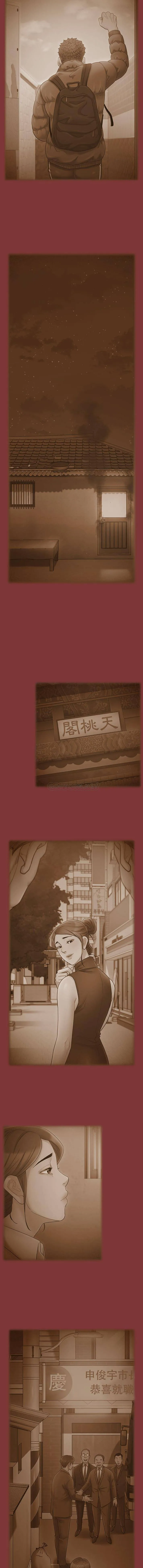 桃花 最终话